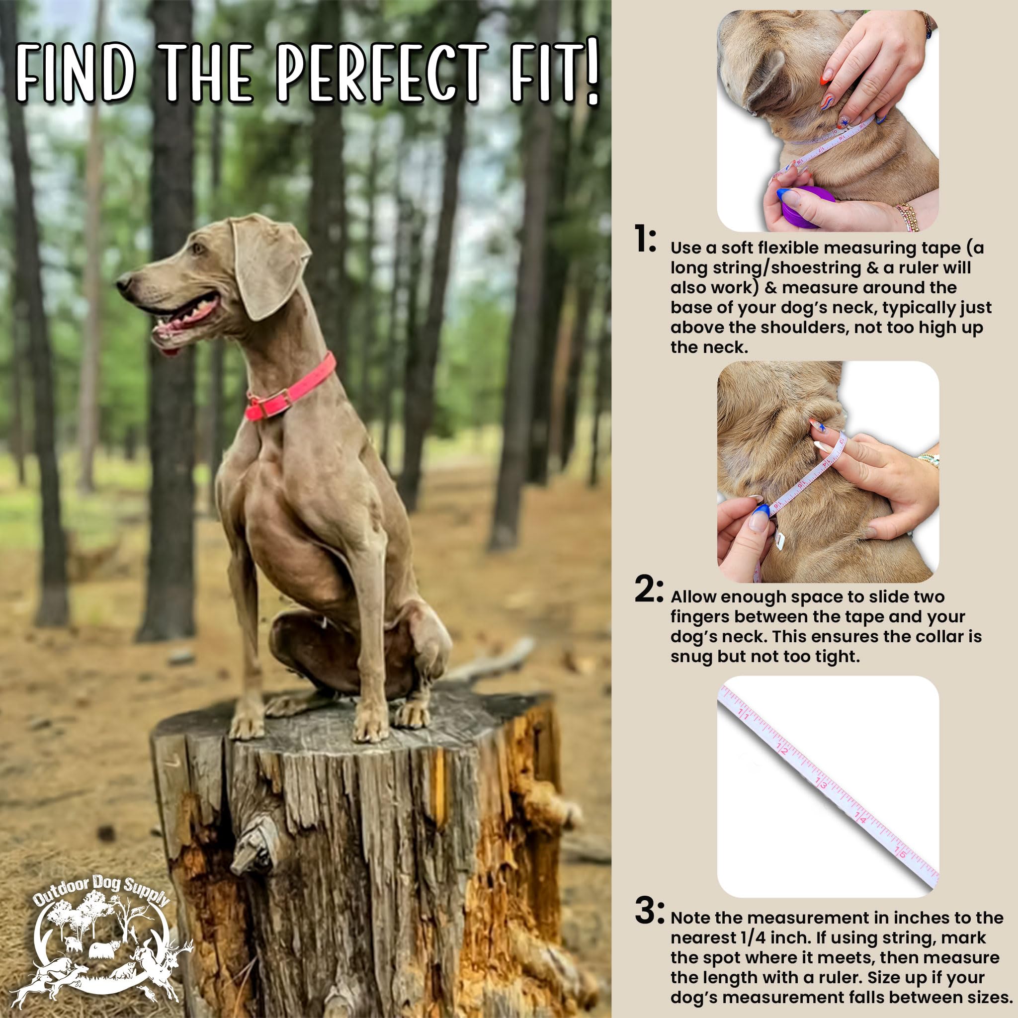 Outdoor Dog Supply Personalized 1" Black Extra Long D-Ring Dog Collar with Custom 3/4" Brass Nameplate | Waterproof, Adjustable for Large and Giant Breed Dogs - Image 3