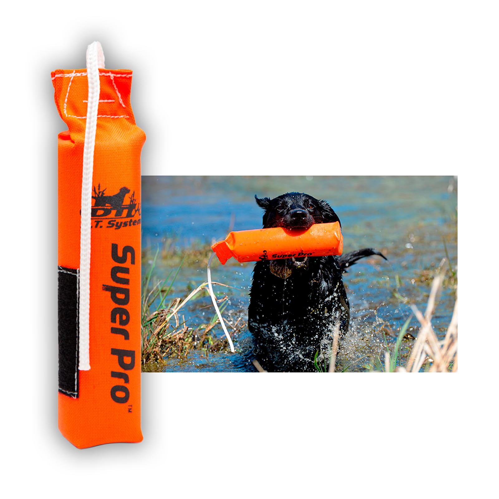 DT Systems Super Pro Series Durable Resistant Floating Upland Waterfowl Hunting Dog/Puppy Retrieval Fetching Training Dummy with Scent Strip & Tough Rope Handle - Image 5