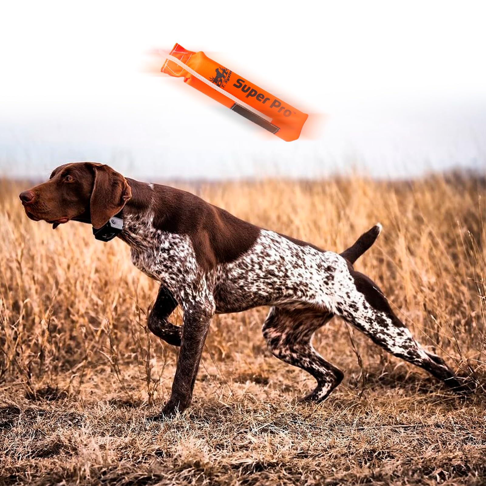 DT Systems Super Pro Series Durable Resistant Floating Upland Waterfowl Hunting Dog/Puppy Retrieval Fetching Training Dummy with Scent Strip & Tough Rope Handle - Image 6